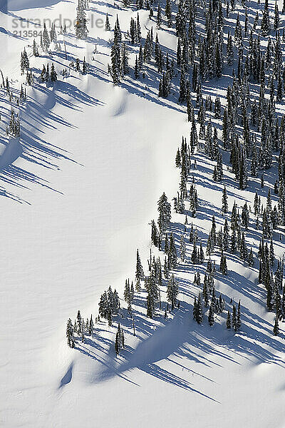 Aerial view of snow covered open landscape of northwest Montana.