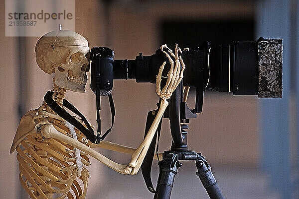 Skeleton with camera and big lens.