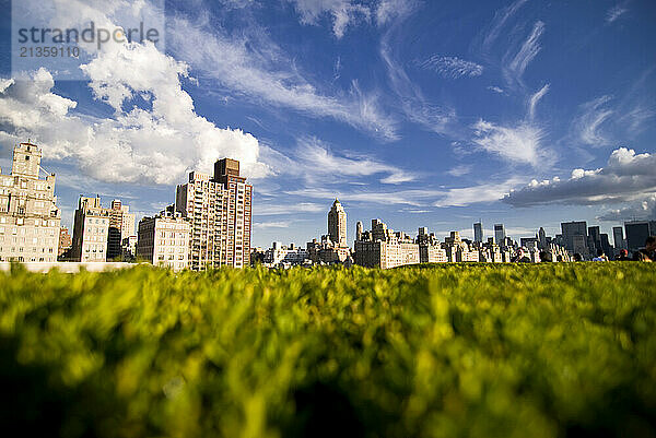 A hedge on top of a Museum rooftop sculpture garden forms the foreground of a scenic view of Upper East Side apartment buildings