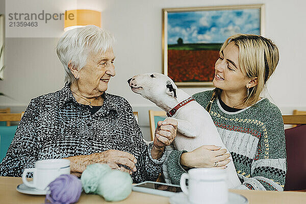 Female nurse holding Bull Terrier dog while sitting with elderly woman at retirement home