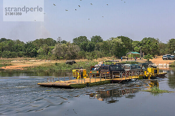 Parra ferry crossing the Victoria Nile river  at Murchison Falls National park  Uganda.