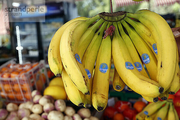 Fruit market. Bananas for sale. Abu Dhabi. United Arab Emirates.