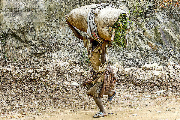 Boy carrying fodder on his head in western Rwanda