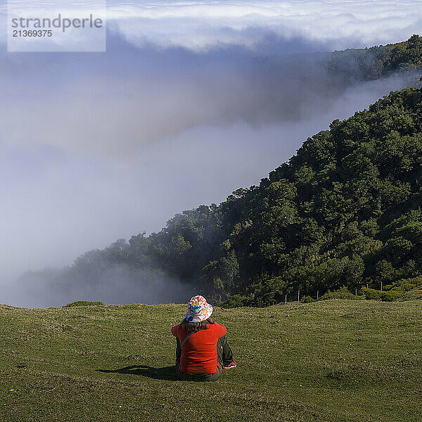 Woman sits on the grass in the sunlight watching the clouds and fog over the forest and mountainside while hiking at Vereda do Fanal  in the UNESCO world heritage site Laurisilva of Madeira; Seixal  Madeira  Portugal