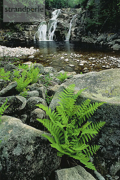 Beautiful landscape with vegetation  rock and waterfalls at Mary Ann Falls in Cape Breton Highlands National Park in Nova Scotia; Cape Breton Island  Nova Scotia  Canada