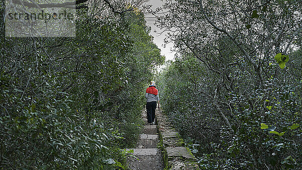 Woman walks alone down a footpath lined with foliage; Sao Lourenco  Setubal  Portugal