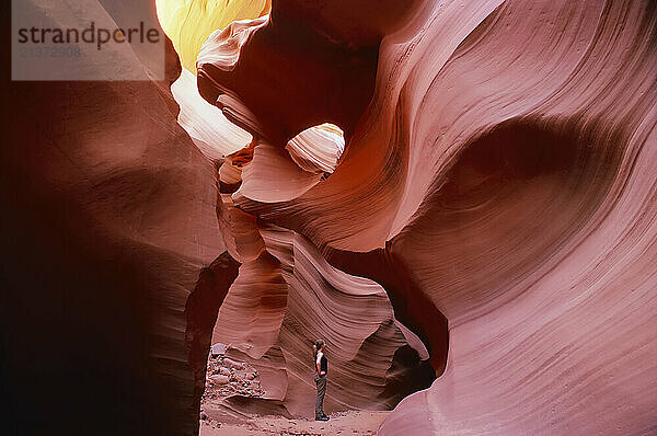 Female tourist stands in a slot canyon  Antelope Canyon  viewing the wavy patterns in the colourful sandstone rock; Arizona  United States of America