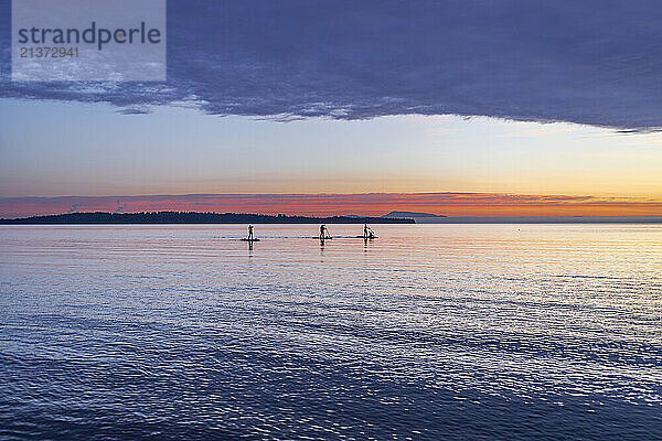 Silhouette of three stand-up paddle boarders out on the water at twilight  White Rock; British Columbia  Canada