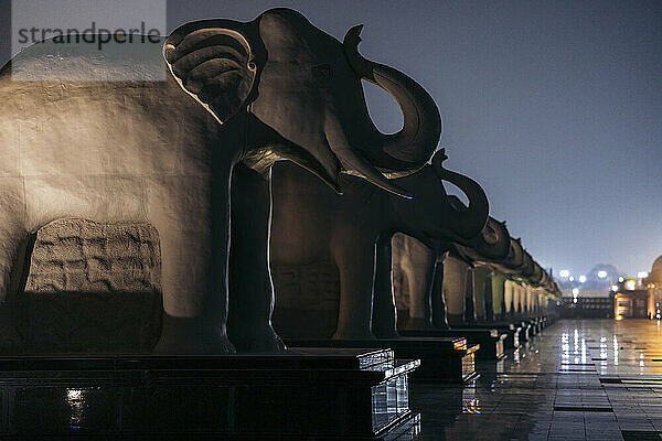 Dr. Babasaheb Ambedkar Memorial Park at night with lights illuminating the elephant sculptures in Lucknow  India; Lucknow  Uttar Pradesh  India