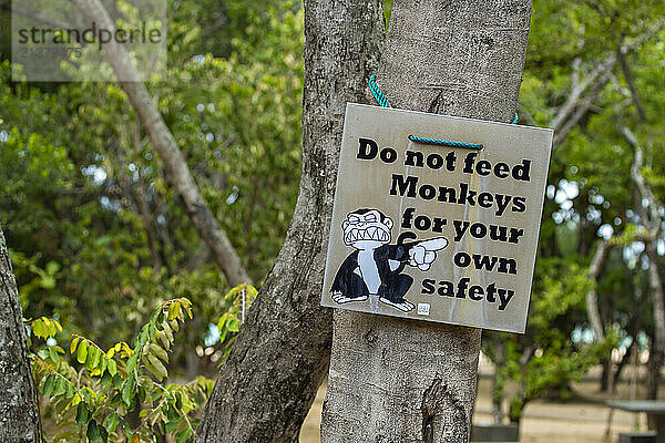 Signage at a beach resort in Sri Lanka warning to not feed the monkeys; Sri Lanka