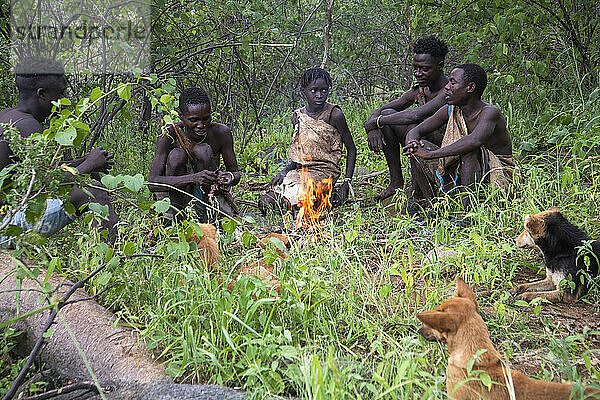 Hadzabe hunters gather around a fire after a successful morning hunt near Lake Eyasi  Tanzania; Tanzania