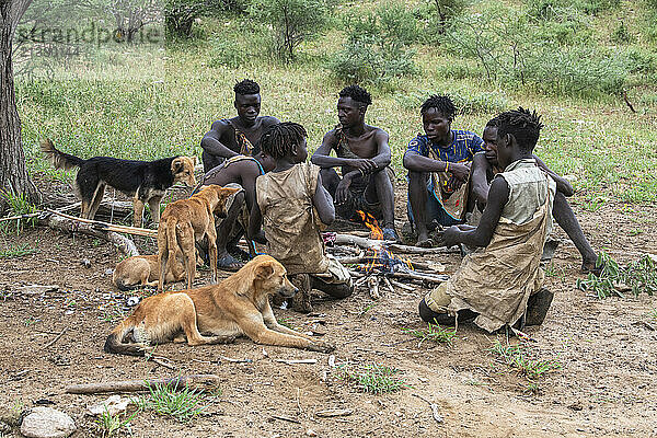 Hadzabe hunters and their dogs gather around a fire after a successful morning hunt near Lake Eyasi  Tanzania; Tanzania