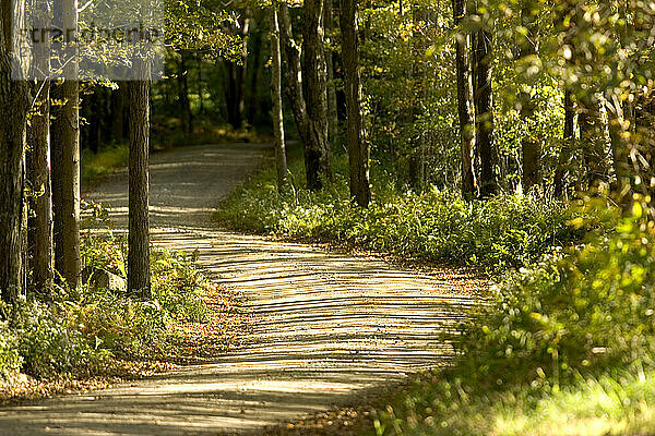 Pole Bridge Road (off of Route 197) winds through the woods near Woodstock  Connecticut.