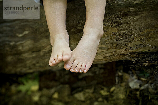 A young boys feet hang off the side of a fallen tree in the woods near Bethel  Maine.