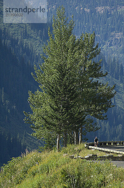 The famous Going to the Sun Road that crosses the Continental Divide at Logan Pass in the heart of Glacier National Park  MT. It's the only road across the park and open for biking during limited hours.