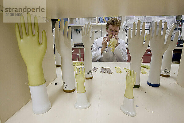 Katrina Cornish Ph.D.  Sr. VP of Research and Design with the Yulex Corp.  examines prototypes of rubber gloves made with different formulations of guayule latex. The Yulex corporation is hoping guayule latex will prove to be a viable alternative for the 20 million Americans who currently are allergic to Hevea Latex produced in the tropics. Guayule (why-you-lee) is a desert shrub indigenous to the southwest United States and northern Mexico. The species (Parthenium argentatum (Gray)) is a new industrial crop and the only species other than Hevea (the Brazilian rubber tree  Hevea brasiliensis) that has been used for latex production on a commercial scale. Guayule is free from the tropical allergenic proteins contained in tropical latex. (tropical rubber contains 57 allergenic proteins.) In testing  antibodies generated in mice or rabbits against tropical latex protein did not recognize Guayule latex proteins. Anti-Hevea latex protein antibodies also failed to react with extracts from Guayule latex films. This lack of cross-reactivity indicates that products made from Guayule latex will not trigger tropical latex allergy symptoms in sensitized individuals. In 1994  a clinical study of 21 latex-sensitive patients was conducted at Johns Hopkins School of Medicine; none had an allergic response to Guayule proteins. Anti-Hevea latex protein antibodies also failed to react with extracts from Guayule latex films. This lack of cross-reactivity indicates products made from Guayule latex will not trigger tropical latex allergy symptoms in sensitized individuals. Contacts:
Yulex PR Person
Betsy Brottlund
Account Executive
(W)right On Communications
104 West Grand Avenue  Suite C
Escondido  CA 92025
www.wrightoncomm.com
bbrottlund@wrightoncomm.com
Tel: 760.735.9411
Fax: 760.735.9415
Cell: 619.302.6965 Yulex Corp
Jali Williams
Scientist
37860 W. Smith-Enke Rd.
Maricopa  AZ 85239
520-381-2232
jwilliams@yulex.com Yulex