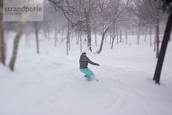 A woman snowboards among trees in Bethel  Maine. (releasecode: DM_MR1016)