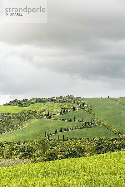 Rural view of the fields with a winding country road on a hill from the valley