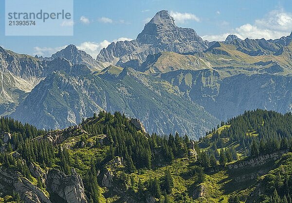 View from the Hochgrat near Oberstaufen (Bavaria  Germany)