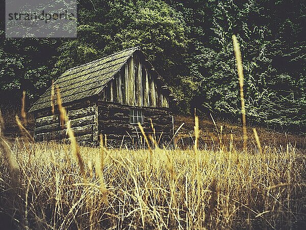 Rustic Old Farm Building Or Barn In A Field Of Grass