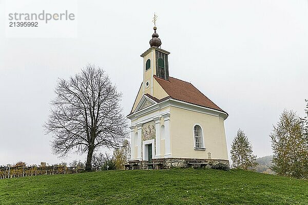 Autumn atmosphere with fog  Theresienkapelle  Mass Chapel Maria vom Guten Rat  Sausal  Styria  Austria  Europe