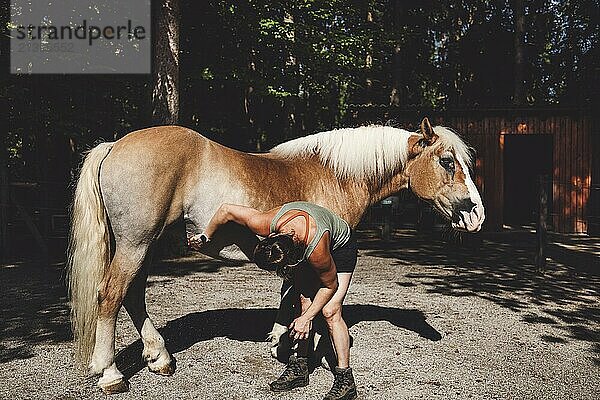 Woman taking care  grooming a horse outside in the forest on a horse ranch