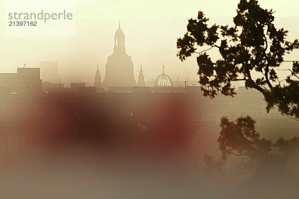 View of the Church of Our Lady Dresden  Autumn  Dresden  Saxony  Germany  Europe