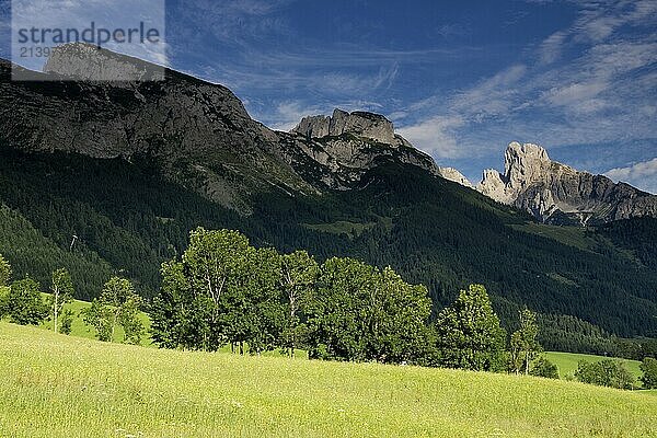 Hilly landscape with trrees near the Austria village Annaberg im Lammertal