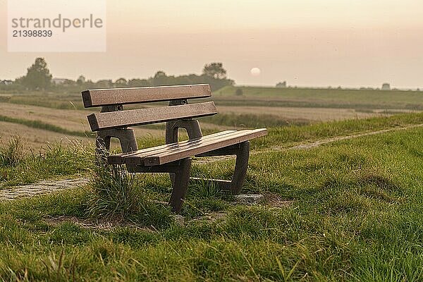 A wooden bench stands on a quiet meadow at sunset  Greetsiel  East Frisia  Germany  Europe