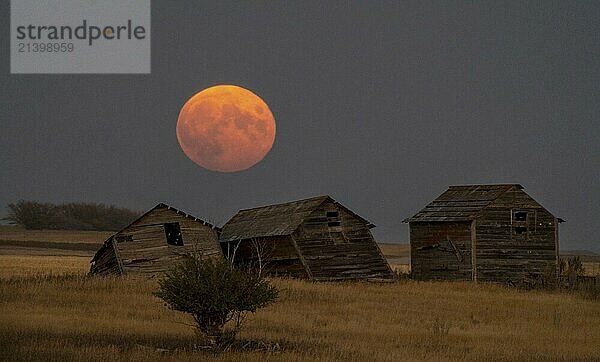 Full Moon Canada Rural Scene in Saskatchewan Canada