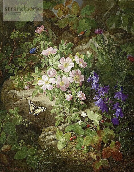 Large still life with alpine flowers and butterflies  painting by Josef Lauer (1818  1881)  Austrian still life painter who was active in the Biedermeier period  among others