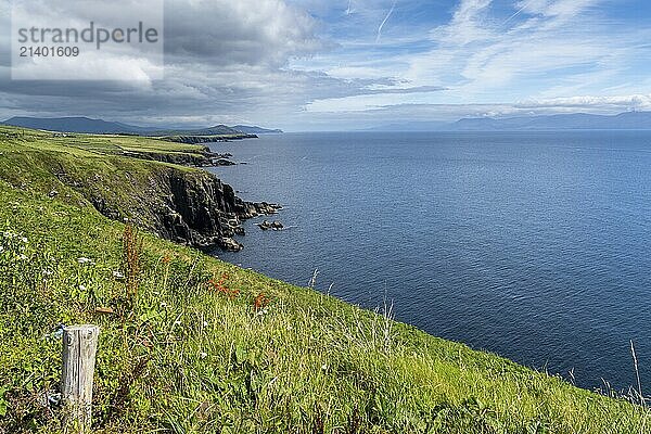 Picturesque coastal landscape with green meadows and rugged cliffs on a beautiful summer day on the Dingle Peninsula of County Kerry in western Ireland