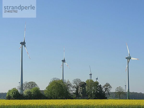 Wind turbines towering over trees and an old mill under a blue sky  stadtlohn  münsterland  germany