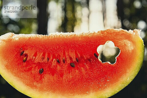 Fresh juicy red watermelon slice flower shaped in hands on background of outdoor garden in summertime during sunset. Concept of summer holidays and vacation. Slow-living simple pleasures