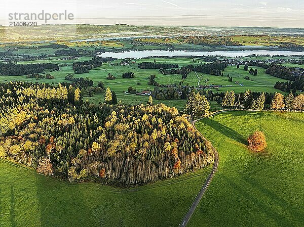 Mountain range near village Wertach  view to lake Rottachsee  aerial view  autumn colors  sunrise  Allgaeu  Bavaria  Germany  Europe