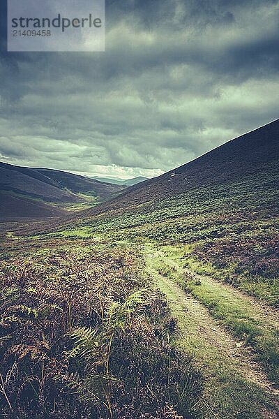 An Empty and Remote Hillside Trail Or Track In The Scottish Purple Heather