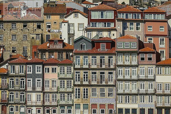 View of traditional colorful houses in Ribeira  Porto  Portugal  Iberian Peninsula  Europe