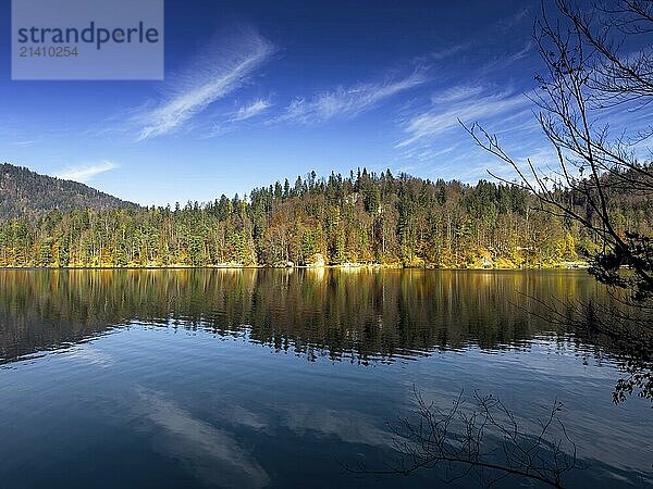 Autumn atmosphere at Hechtsee lake near Kufstein  Tyrol  Austria  Europe