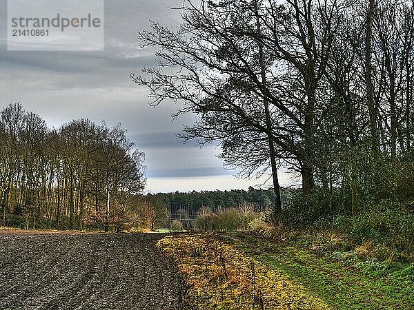 A harvested field near trees and forest under a peaceful sky  Reken  münsterland  germany