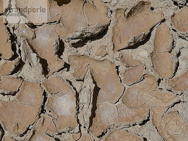 Texture in the mud  Carvoeiro  Lagoa  Algarve  Portugal  Europe