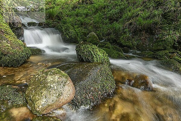 Mountain torrent in the Vosges. Charlemagne waterfall on the Vologne