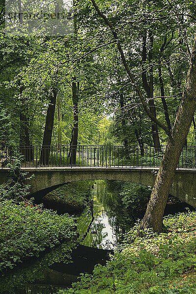 Colorful green scenery in forest park with bridge and small river. View through the summer foliage in park forest. Greenery Tree leaves Path. Nature landscape wallpaper background