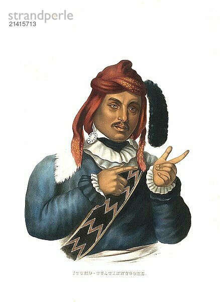 American Indian  Native American  a chief of the Itcho -Tustinnuggee  United States of America  USA  Painting by Charles Bird King (1785  1862)  c. 1840  Historic  digitally restored reproduction from a 19th century original  Record date not stated  North America