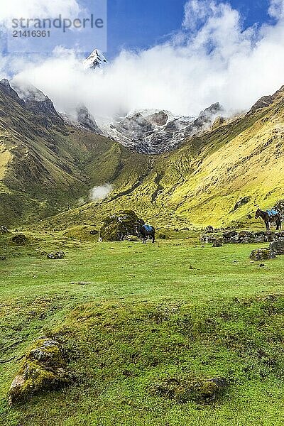 Salkantay Trekking in Peru  South America