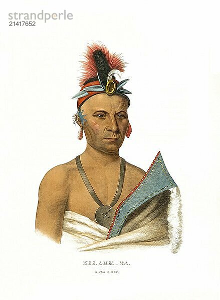 American Indian  Native American  Kee-Shes-Wa  a Fox chief  United States of America  USA  Painting by Charles Bird King (1785  1862)  c. 1840  Historic  digitally restored reproduction from a 19th century original  Record date not stated  North America