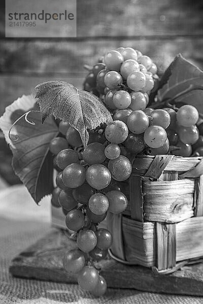 End of September  the time of the grape harvest