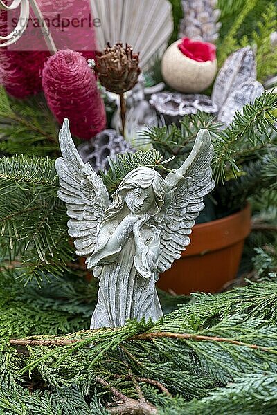 Angel figure on a grave in the cemetery in Garbsen-Stelingen  Lower Saxony  Germany  Europe