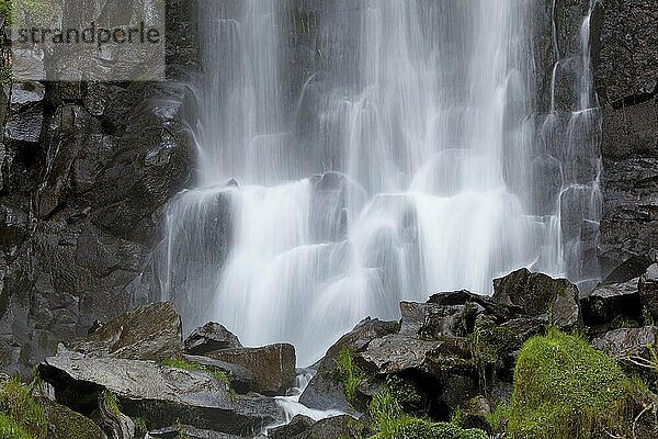 Waterfall of Vaucoux  Puy-de-Dôme  Auvergne-Rhône-Alpes  France  Europe