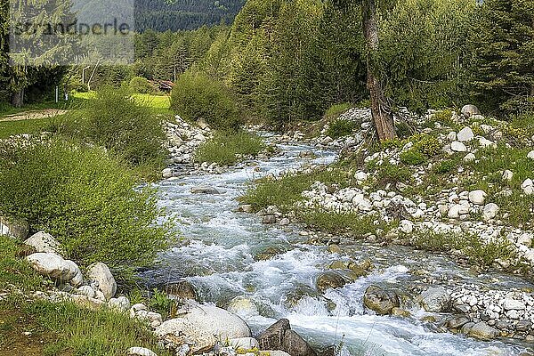 Blue river spring landscape with green woods  Bansko  Bulgaria  Europe