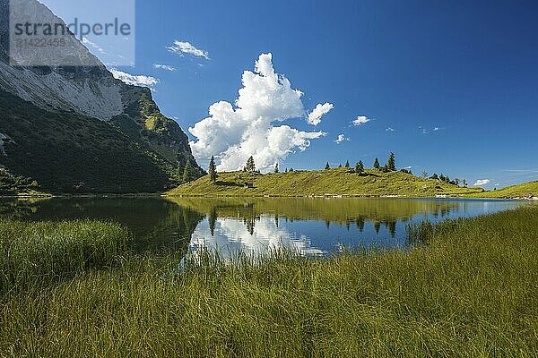 Unterer Gaisalpsee  Allgäu Alps  Allgaeu  Bavaria  Germany  Europe